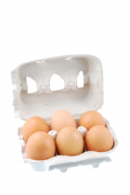 Six Eggs in a tray